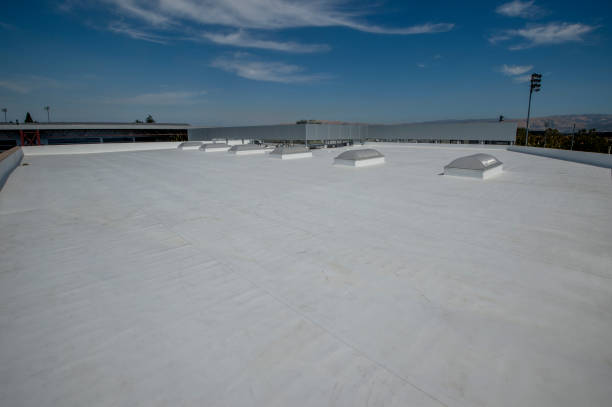 Best Solar Panel Roofing Installation  in Pleasant Hill, IA